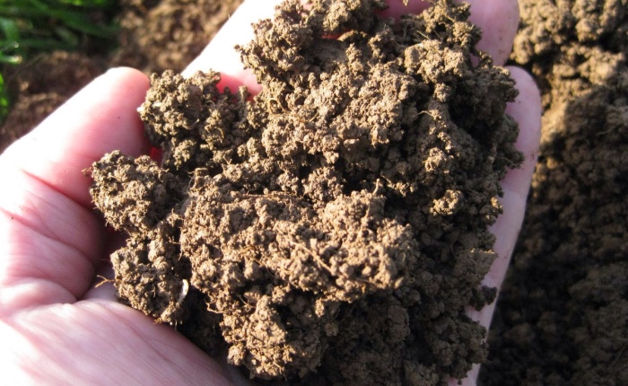 Building Your Patch: How Good is Your Soil?