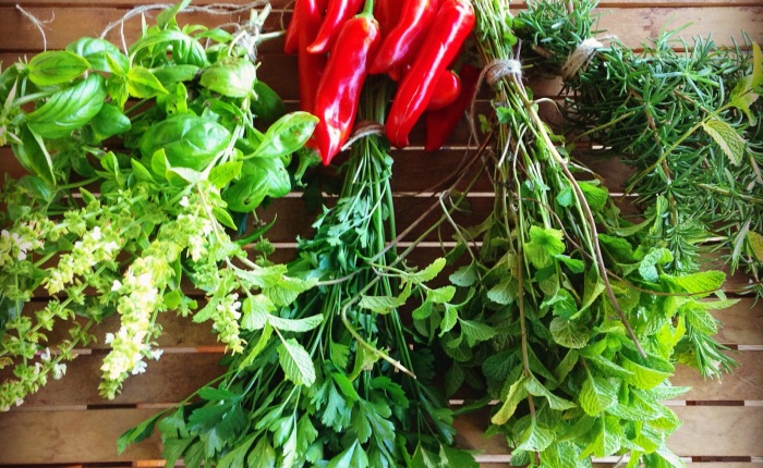 Preserving Your Harvest: Air-Drying Herbs & Chillies
