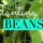 Planting: Top 5 Tips for planting Beans